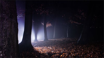 Encounter at Rendlesham Forest with Nick Pope