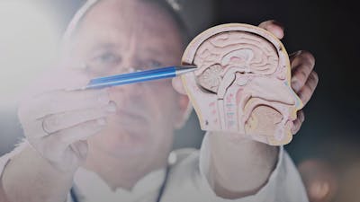 Suzy Miller on Lessons from Autism