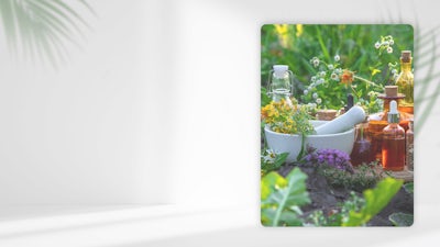 El espíritu de las plantas