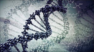 The Hidden Power of DNA
