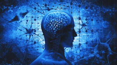 Remote Viewing: The Mind Beyond Time with Major Ed Dames