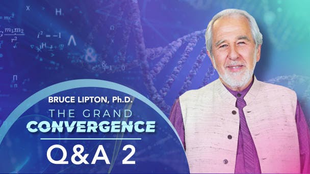 Q&A 2 with Bruce Lipton