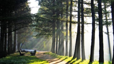 Meditation On Thoughts