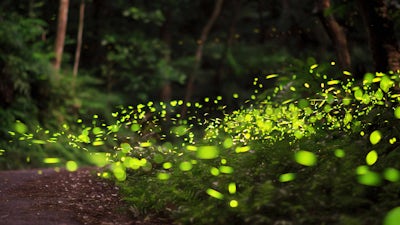 Transforming Through Illness