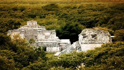 Mayan Temples in the Jungle