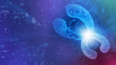 Session 6: Mind over Matter: Control Health & Longevity