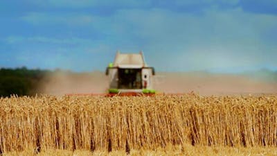 Manger plus pour se nourrir moins 