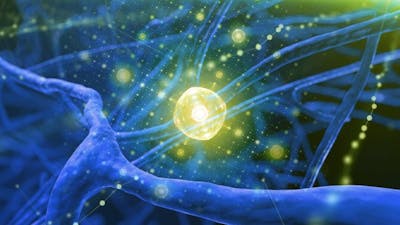 Composición y análisis del implante