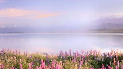 Managing Menopause