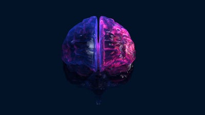 Joe Dispenza on Evolving your Brain