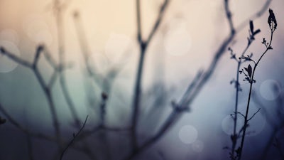 Jeff Meiring on Miracles and Suicide