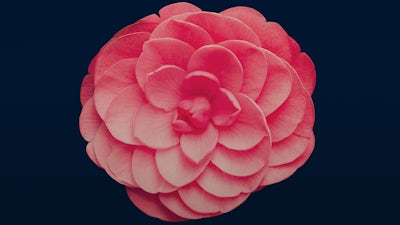 The Passion Test with Janet Attwood