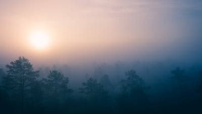 Vital Strength Contemplation: Audio Meditation
