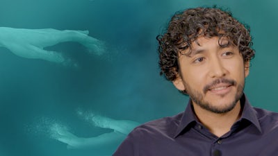 Heilen mit Halluzinogenen