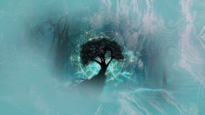 Enraizamiento con la naturaleza