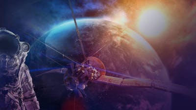  The Greys: Guiding Evolution