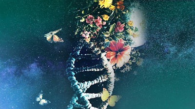 Deactivation Sequence