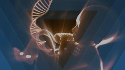 La física de nuestras conexiones más profundas