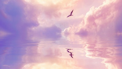 Viaje interior para la liberación