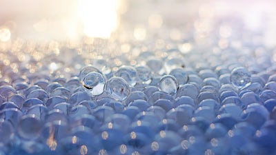 La science de l'Homéopathie