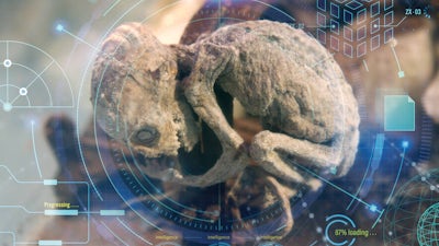 Los expertos analizan al ser de Metepec