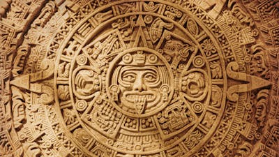 Paso 2: El orden de la palabra