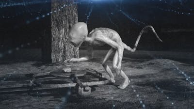 Experiencias frente a una criatura desconocida