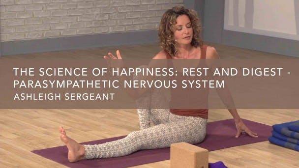 Rest and Digest - Parasympathetic Nervous System