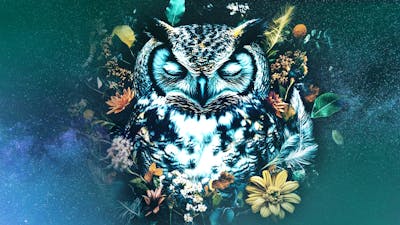 Weave Your Soul Narrative