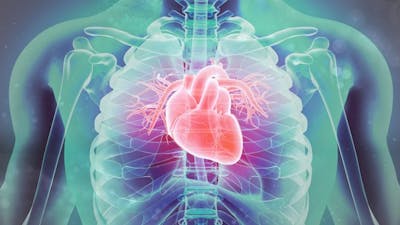 The Science of Heart Intelligence with Howard Martin