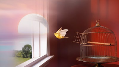 Se libérer des conditionnements