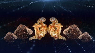 Decodificando las momias de Nazca