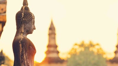 Temples of the Otherworld with Freddy Silva