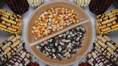 Seed: The Untold Story