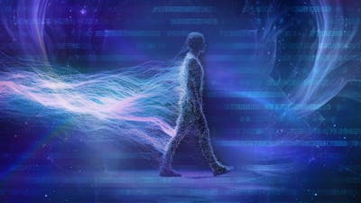 NPCs: Organic Portals for Transformation