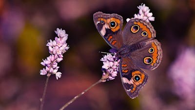 Jeder Trigger ist ein wertvoller Schlüssel