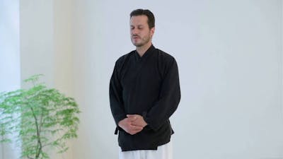 Le Qi Gong des 5 éléments - La terre