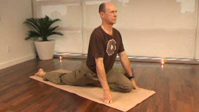 Yin Yoga for the Energy Body: Edited Commentary