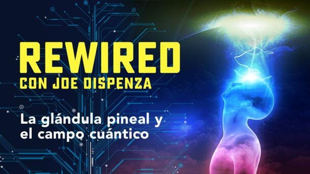 La Glándula Pineal y el Campo Cuántico