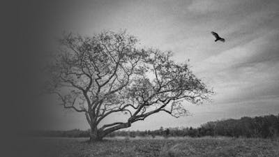 On Death