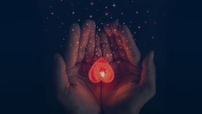 Open Your Heart with Mark Nepo