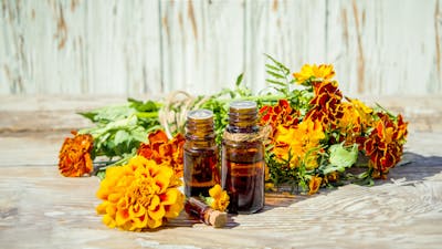 Extracciones o tinturas