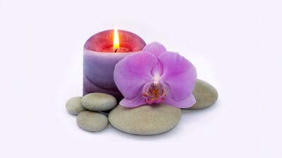 Co-crear una nueva realidad