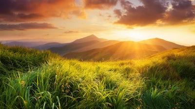 Thom Rogers on Steps to Manifestation