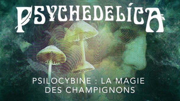 Psilocybine : la magie des champignons