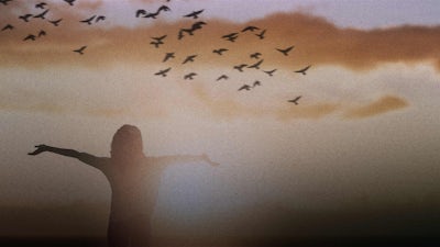 Healthier Life Choices