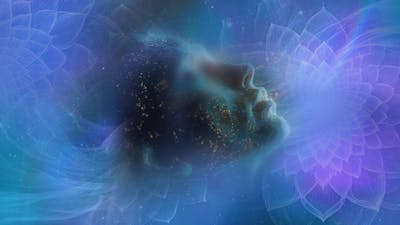 Sovereign Soul: Primary Coder of Reality