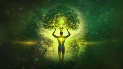 La salud no se hereda, se construye