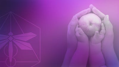 Insights on Conceiving