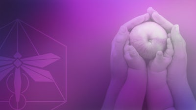 Insights on Conceiving